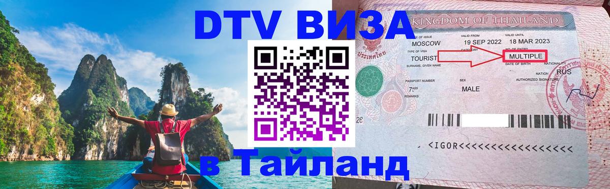 Оформление DTV визы под ключ: стоимость и тарифы, только загранпаспорт - 
